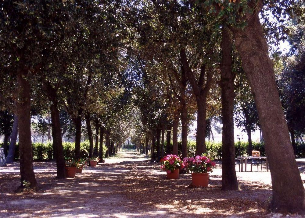 Pensjonat Razza Del Casalone Grosseto Zewnętrze zdjęcie